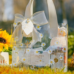 Transparent daisy PVC gift bag with leather handles and ribbon for elegant packaging