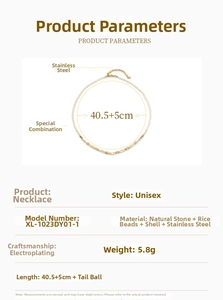 Detailed specs of the natural stone and shell beaded necklace with 40.5cm length