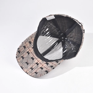 Detail of plaid baseball cap inner lining and transparent face shield attachment