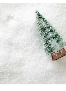 Vue détaillée de poudre de neige artificielle blanche avec un mini sapin de Noël givré