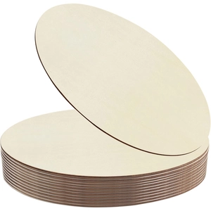 Natural round unfinished wood slices set for DIY crafts and home decoration on white base