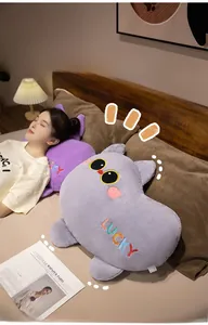 Close-up of cat plush pillow with rainbow Lucky embroidery and soft velvet texture