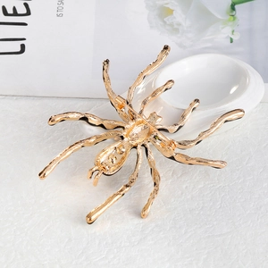 Golden spider brooch pin with textured metal back detail on professional white background