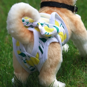 Washable female dog physiological pants with lemon pattern and cute bow for pet hygiene