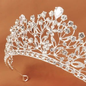 Elegant silver bridal crown with intricate cubic zirconia floral and leaf design