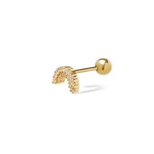 Detailed macro view of S925 silver horseshoe stud earring with gold-plated micro-pave crystals