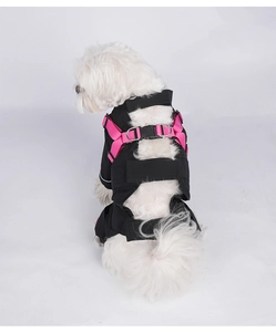 Détail montrant les boucles et anneaux en D du harnais noir pour chien