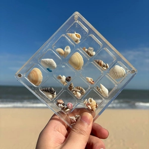 Clear 16-grid acrylic magnetic shell display box held against beach and sea background