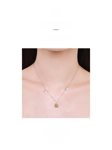 Macro view of sterling silver necklace with yellow zircon and Pisces zodiac sign pendant