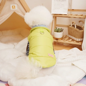 Quilted lime green pet winter vest with D-ring and blue collar for small dogs