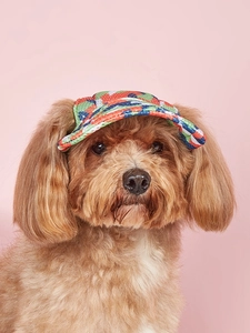 Vista frontale di un cane marrone con cappello in tela geometrico su sfondo rosa