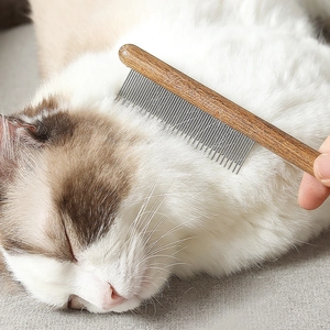 Houten verzorgingskam verwijdert losse haren bij een slapende ragdoll kat in detail