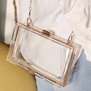 Transparent acrylic box bag with gold metal frame and chain strap shown on a model