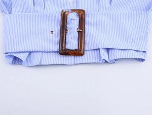 Detailed close-up of blue striped shirt waist with wide belt and amber buckle