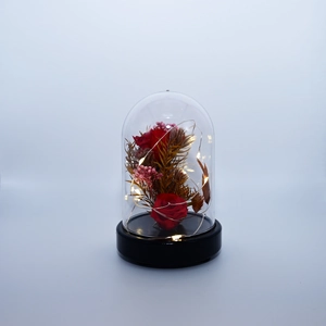 Close-up of preserved red rose in a clear dome with glowing LED fairy lights and black base