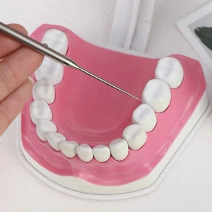 Vista macro di un modello dentale con sonda metallica che ispeziona i denti della mascella