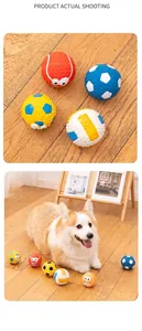 Detail of durable rubber dog balls with textures and Corgi playing on wood floor