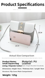 Detail showing dimensions and inner material of the color-block small square bag