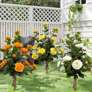 Outdoor garden view of orange yellow and white artificial camellia bushes by white fence