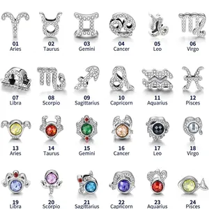 Detail van 925 sterling zilveren dierenriem bedeltjes met witte zirkonia en edelstenen