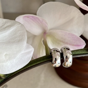 Macro-opname van zilveren druppeloorbellen met gepolijste afwerking aan een orchideeënsteel