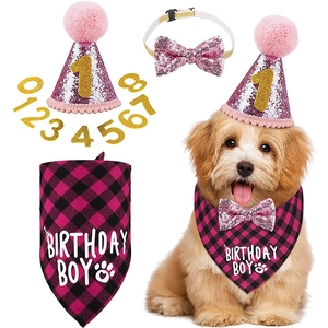 Macro detail of pink sequin party hat with glitter numbers and dog birthday bandana set