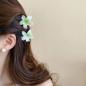 Close-up of white and green gradient flower hair clips styled on long brown hair