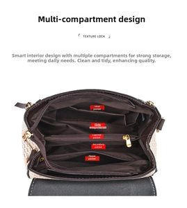 Detail view of the multi-compartment interior with dark coffee lining and golden zippers