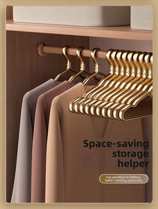 Detail of champagne gold aluminum hanger with anti-slip notches and sleek metal finish