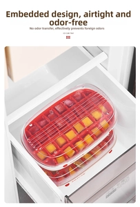 Detail of food-grade ice cube tray set with temperature range label in refrigerator