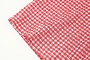 Detail shot of red and white gingham seersucker fabric with a puckered texture