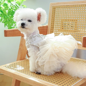 Elegant cream lace pet wedding dress with tiered mesh skirt and D-ring for small dogs
