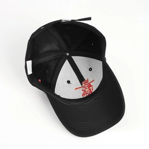 Detail view of cotton baseball cap interior featuring red embroidery and fabric wash label