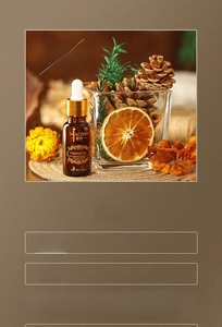 Close-up of glass aromatherapy cup with cinnamon sticks, dried orange slices and essential oil