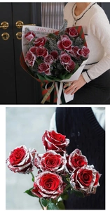 Detail of red roses with artificial snow spray and Merry Christmas festive packaging