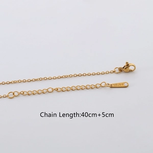 Detail of lobster clasp and adjustable 40cm+5cm extension chain on stainless steel necklace
