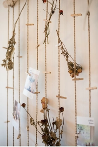 Detail of natural birch wood clips and hemp rope hanging on a minimalist white wall