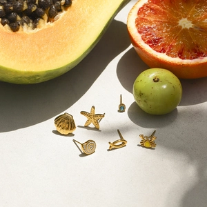 Macro shot of gold stainless steel shell, starfish and sea creature stud earrings set
