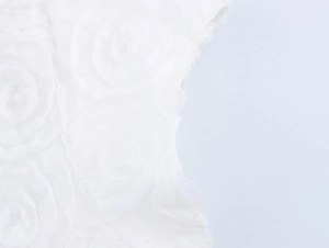 Gros plan sur le tissu en dentelle blanche avec broderie de roses 3D élégantes