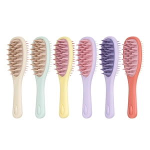 Set of 6 colorful dual-sided long handle silicone massage hair combs on white background