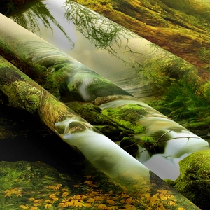 Macro shot showing high-density canvas texture and vivid forest landscape print details