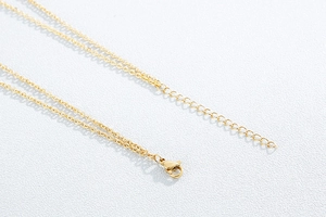 Detailed shot of golden stainless steel necklace with lobster clasp and extender chain