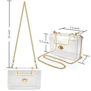 Macro view of clear PVC bag with dimensions, gold hardware, and metal chain strap