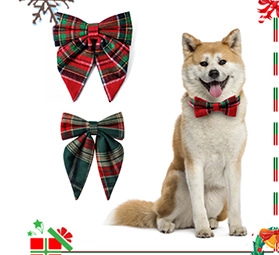 Macro shot of red and green plaid Christmas pet bow tie worn by a large dog