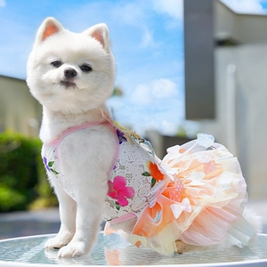 Detail view of lace pet dress with floral mesh ruffles worn by a Pomeranian dog