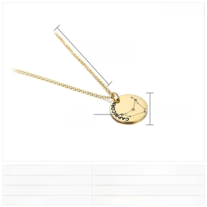 Detail of Capricorn zodiac necklace in gold finish with sparkling rhinestones and specs