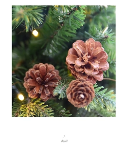 Close-up of three natural pine cones for Christmas DIY wreaths and festive decorations
