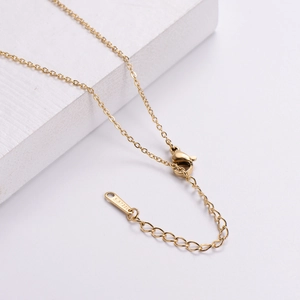 Golden titanium steel plum necklace showing lobster clasp and S-STEEL tag details