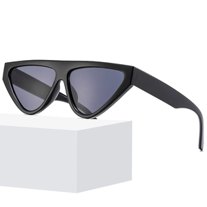 Cat Eye Sunglasses Retro Triangle Narrow PC Frame AC Lens UV400 Protection Vintage Ins Style For Women Men