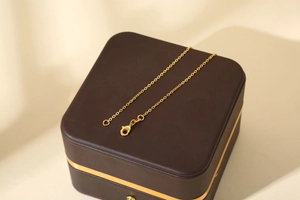 Detailed view of a gold-plated link chain necklace with lobster clasp on a jewelry box